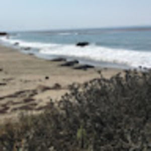 Meet your Posher, Kay